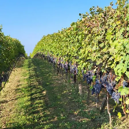 Casa Da Cristina 라모라