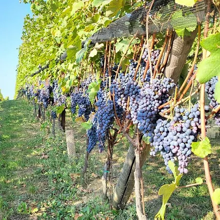 Casa Da Cristina 아파트 라모라