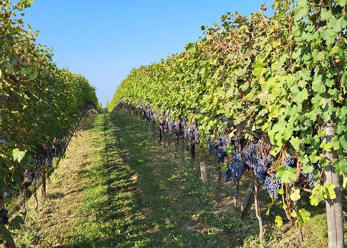 Casa Da Cristina La Morra